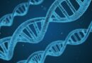 Τα μυστικά του DNA